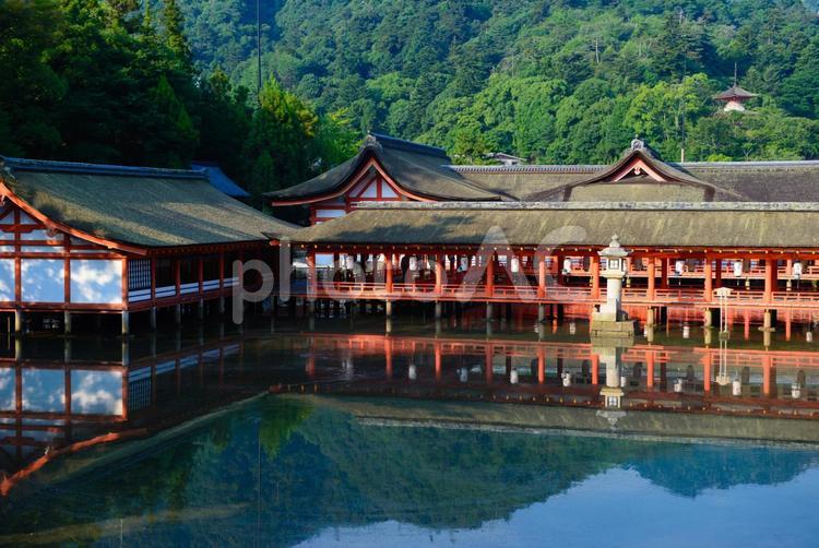 厳島神社の風景 宮島,世界文化遺産,厳島神社の写真素材