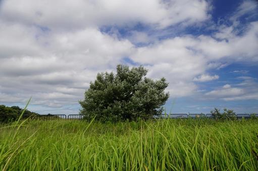 自然の風景 自然の風景の写真