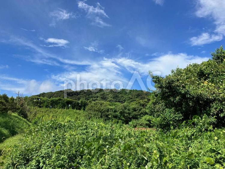 夏の森林と青空 山,森林,樹木の写真素材