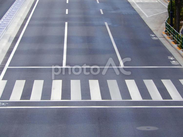 雨上がりの無人の横断歩道 無人,横断歩道,雨上がりの写真素材