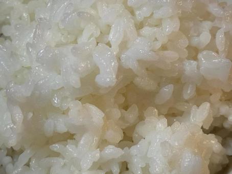 ご飯 ご飯の写真