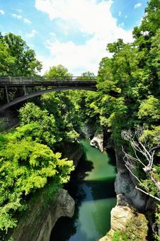 初夏の新猿橋 新猿橋,橋,山梨の写真素材