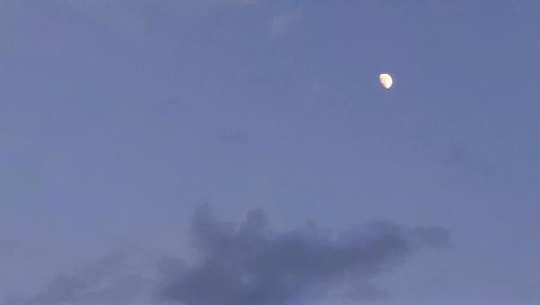 7月のお月さま 7月のお月さまの写真