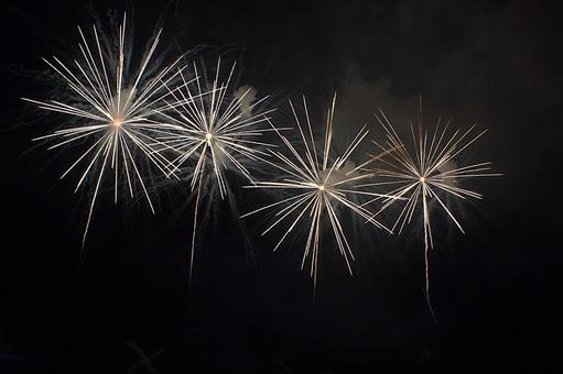 25年長岡まつり 花火 25年長岡まつり 花火の写真