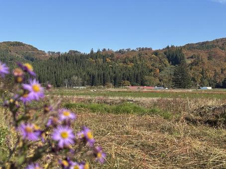 秋の里山の風景 里山,秋,秋空の写真素材