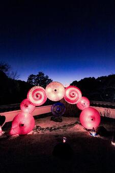 岡寺 岡寺,三重塔,ライトアップの写真素材