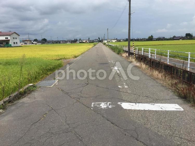 田んぼの真ん中の田舎道 田舎,田舎道,田んぼの写真素材