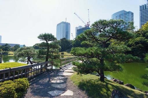 浜離宮恩賜庭園 浜離宮恩賜庭園,浜離宮,庭の写真素材