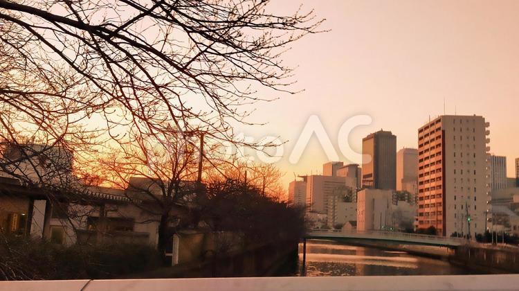 夕暮れの街 都会,街,都市の写真素材