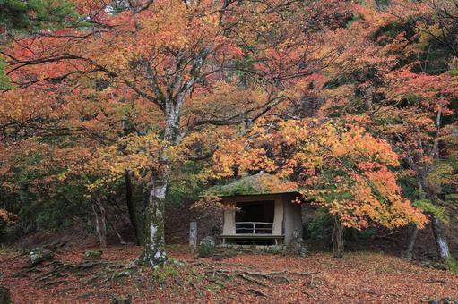 紅葉　吉野山　奥千本　西行庵 紅葉,吉野山,西行庵の写真素材