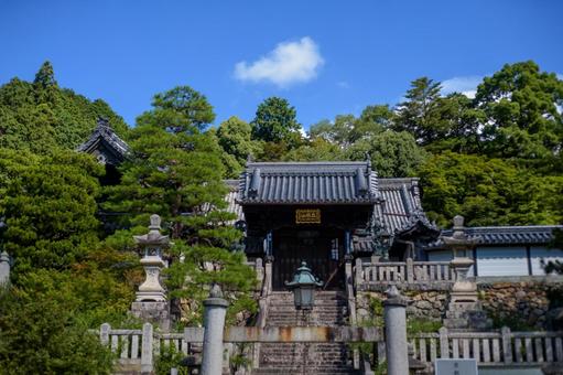 柳谷観音 柳谷観音の写真