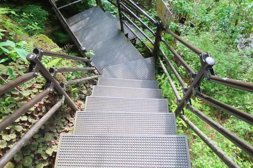 【高知県】にこ淵に続く階段 【高知県】にこ淵に続く階段 にこ淵,滝,滝壺の写真素材