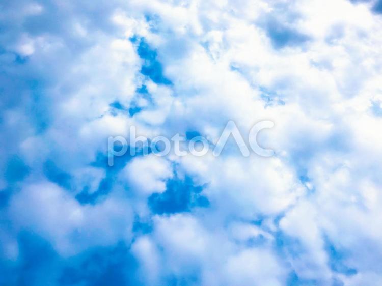 氷みたいな雲1 空,雲,天気の写真素材