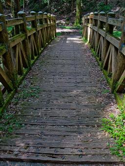 森の中の木製の橋 森の中の木製の橋 橋,トレッキング,ハイキングコースの写真素材