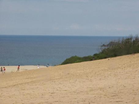 【風景写真】鳥取砂丘の風景 砂丘,砂,鳥取砂丘の写真素材