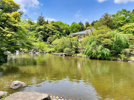 成田山新勝寺 成田山公園の池の畔 成田山新勝寺 成田山公園の池の畔 成田山公園,成田山,新勝寺の写真素材
