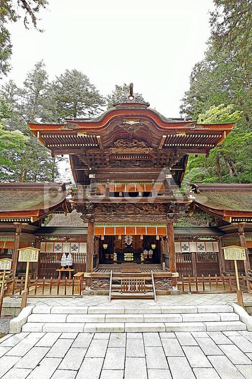 諏訪大社下社春宮（下諏訪） 諏訪大社下社春宮,官弊大社,諏訪大明神の写真素材