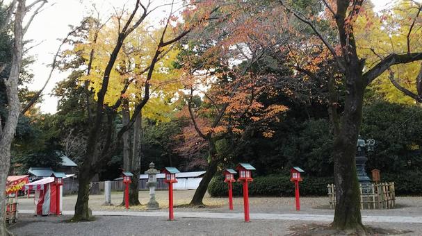 鷲宮神社の写真