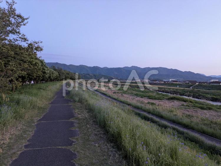 田舎の風景 道路,道,のどかの写真素材