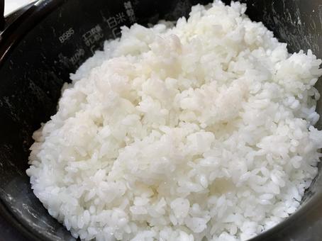 炊き立て 美味しいご飯2 炊き立て 美味しいご飯2の写真