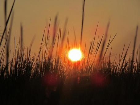 夕焼け空の風景の写真