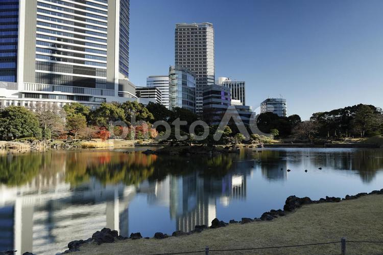 	浜離宮恩賜庭園の秋景と高層ビルの水鏡 日本庭園,都会の風景,紅葉の写真素材