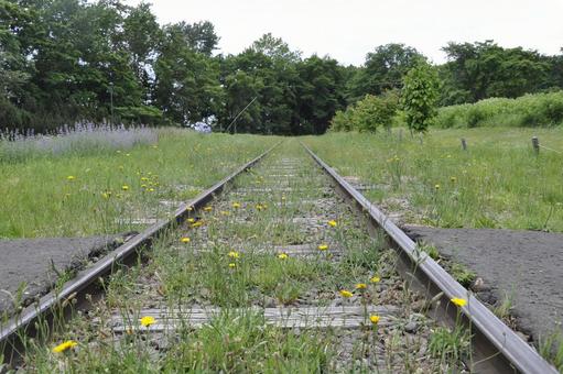線路とタンポポ2 線路とタンポポ2 線路,タンポポ,鉄道の写真素材