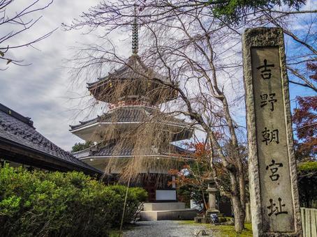【奈良県】吉野町・妙法院 南朝妙法殿 妙法院,南朝妙法殿,吉野町の写真素材