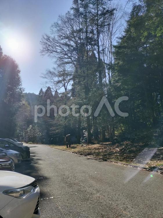 森の中の駐車場 森,森の中,森林の写真素材