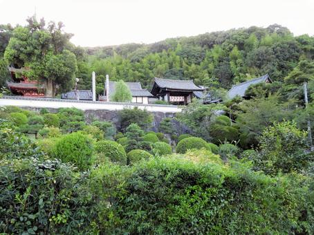 中道山 円光寺 明王院 中道山 円光寺 明王院の写真