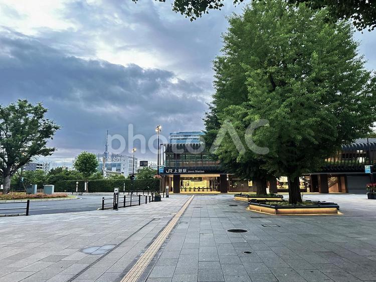 上野公園　早朝の公園 朝の上野公園,上野,上野恩賜公園の写真素材