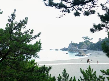 海 海 海,海岸,夏の写真素材