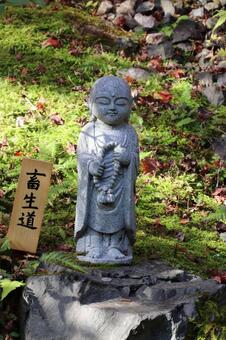 二尊院　六地蔵菩薩畜生道大光明地蔵菩薩 二尊院,六地蔵菩薩,畜生道大光明地蔵菩薩の写真素材