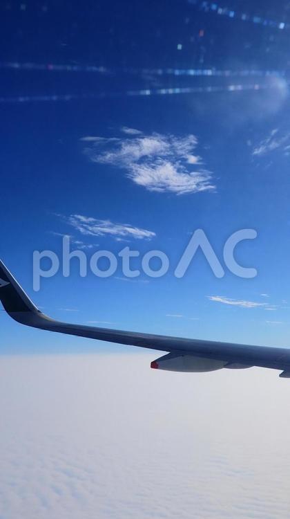 旅の始まり！さぁ行くよ異国の旅へ！ 飛行機,雲,空の写真素材