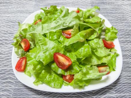 野菜サラダ 野菜サラダの写真