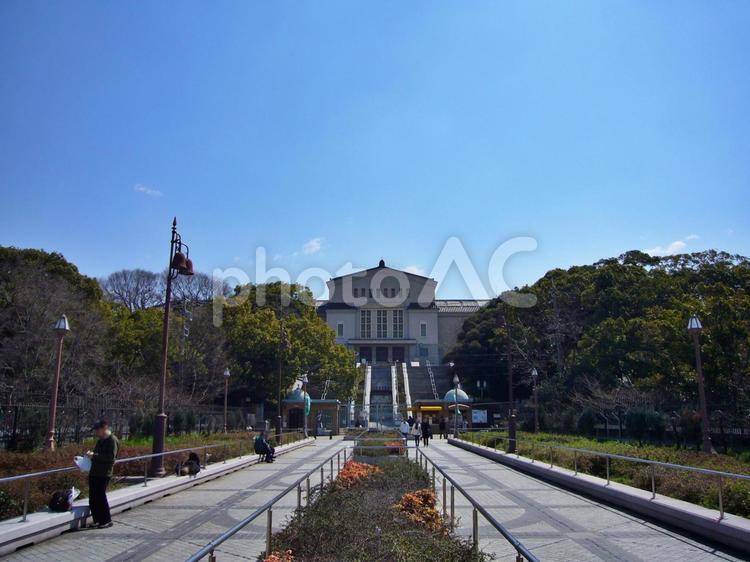 大阪市立美術館前の連絡通路にて 連絡路,通路,大阪市立美術館の写真素材