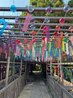 風鈴 風鈴 風鈴,別小江神社,名古屋の写真素材