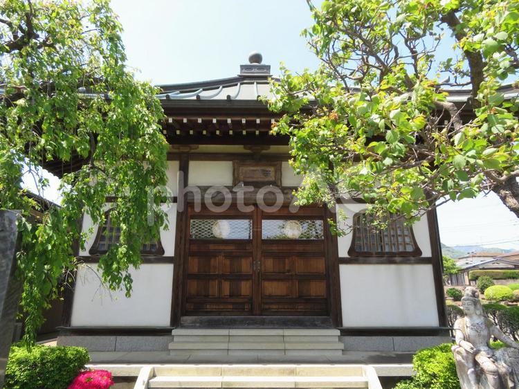 伊勢原市洞昌院三徳殿（太田道灌御霊廟） 洞昌院,三徳殿,太田道灌御霊廟の写真素材