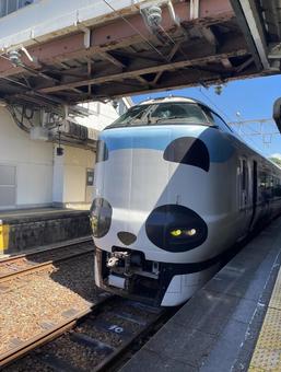 特急パンダくろしお 白浜駅にて 特急パンダくろしお 白浜駅にての写真