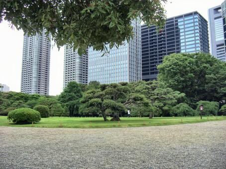 浜離宮恩賜庭園-13 浜離宮恩賜庭園,東京都中央区,庭園の写真素材