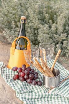 グリッシーニやワイングラス アルコール,ピクニック,グリッシーニの写真素材