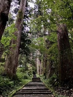 杉並木 ミシュラン,出羽三山,国宝の写真素材