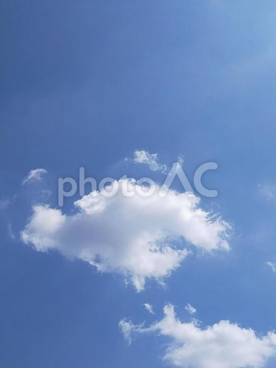 のんびり浮かぶ白い雲 晴れ,空,白い雲の写真素材