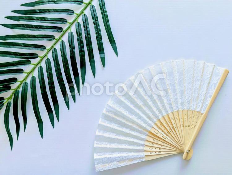 背景素材（熱中症対策）扇子1 熱中症対策,熱中症,暑いの写真素材