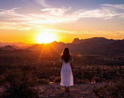 夕日に照らされるの写真