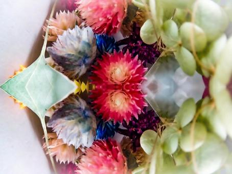 鏡の中の花 鏡の中の花の写真
