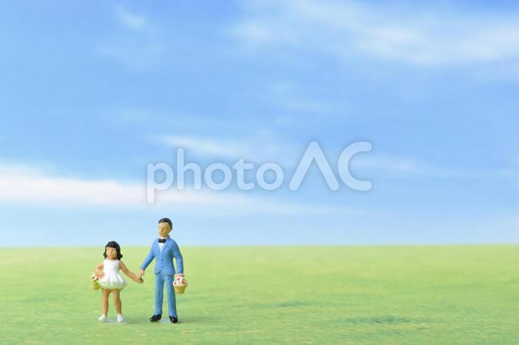 青空と草原とミニチュアの兄妹 コピースペース,ビジネス,ミニチュアの写真素材