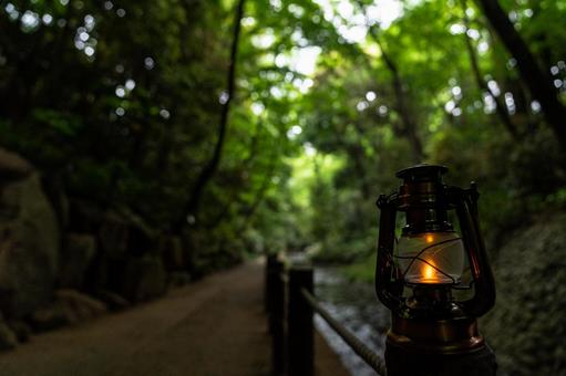 森の中を流れる川とアンティークランタン 森の中を流れる川とアンティークランタン ランタン,カンテラ,グランピングの写真素材