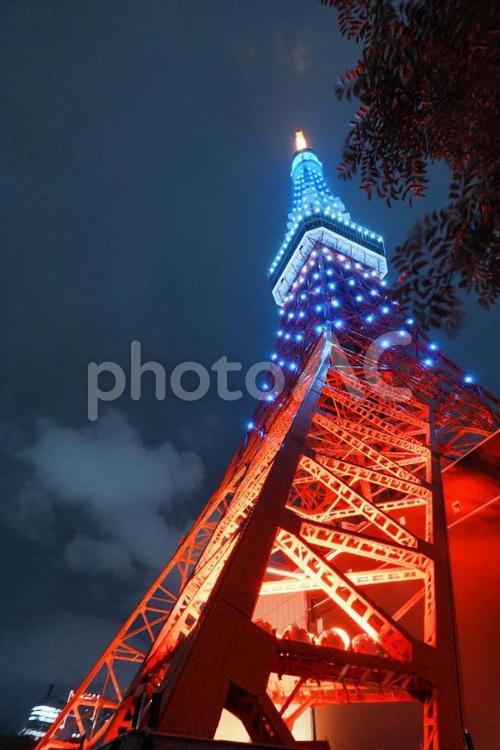 青と赤ライトアップ東京タワーの夜景 東京タワー,夜景,観光地の写真素材