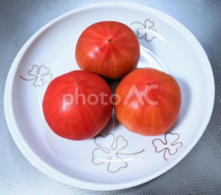 愛知の伝統野菜　ファーストトマト１ ファーストトマト,トマト,とまとの写真素材